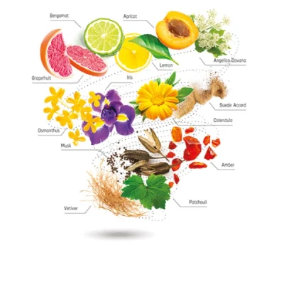 Fiorialux 100ml